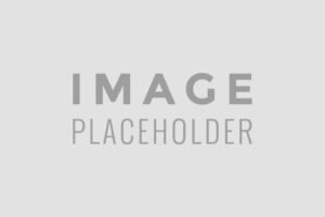 placeholder-fallback